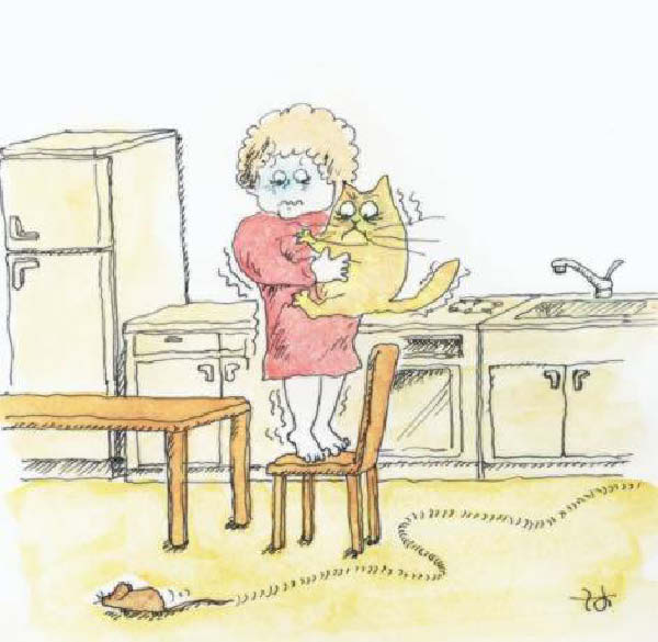 souris 0006-humourenvrac